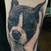 Tattoos - Black and Grey realistic dog portrait - 87719